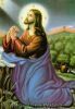 اسم الصورة=Pain_(346).jpg
حجم الملف=35كيلوبايت
الأبعاد=333x480
تاريخ الإضافة=%878 %25, %2008 Pain_(346).jpg