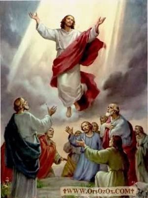 Jesus-Crucified_(95).JPG