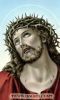 Jesus-Crucified_(104).JPG