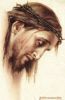Jesus-Crucified_(248).JPG