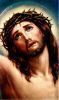 اسم الصورة=Jesus-Crucified_(262).JPG
حجم الملف=101كيلوبايت
الأبعاد=682x1145
تاريخ الإضافة=%797 %11, %2008 Jesus-Crucified_(262).JPG