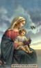 اسم الصورة=Jesus-Growing_(11).JPG
حجم الملف=10كيلوبايت
الأبعاد=252x417
تاريخ الإضافة=%484 %10, %2008 Jesus-Growing_(11).JPG