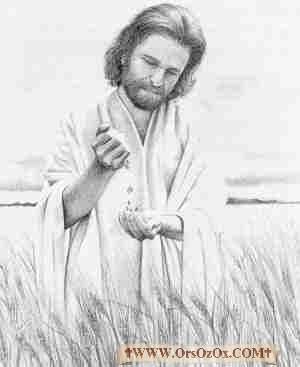 Jesus-Other_(144).jpg