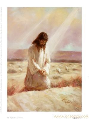 Shepherd-Print-C10290250.jpg