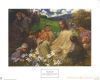 Christ-and-the-Little-Children-Print-C10083619.jpg