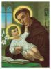 Heilige-Antonius-Von-Padua-Print-C10314657.jpg