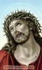 اسم الصورة=Jesus-Other2_(103).JPG
حجم الملف=10كيلوبايت
الأبعاد=216x357
تاريخ الإضافة=%860 %01, %2008 Jesus-Other2_(103).JPG