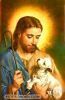 اسم الصورة=Jesus-Other2_(141).jpg
حجم الملف=17كيلوبايت
الأبعاد=280x428
تاريخ الإضافة=%861 %01, %2008 Jesus-Other2_(141).jpg