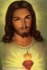 اسم الصورة=Jesus-Other2_(162).JPG
حجم الملف=12كيلوبايت
الأبعاد=328x480
تاريخ الإضافة=%861 %01, %2008 Jesus-Other2_(162).JPG