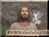 اسم الصورة=Jesus-Other2_(5).jpg
حجم الملف=2كيلوبايت
الأبعاد=160x120
تاريخ الإضافة=%860 %01, %2008 Jesus-Other2_(5).jpg