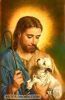 اسم الصورة=Jesus-Other2_(53).JPG
حجم الملف=14كيلوبايت
الأبعاد=280x428
تاريخ الإضافة=%860 %01, %2008 Jesus-Other2_(53).JPG