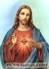 اسم الصورة=Jesus-Other2_(68).JPG
حجم الملف=8كيلوبايت
الأبعاد=178x250
تاريخ الإضافة=%860 %01, %2008 Jesus-Other2_(68).JPG