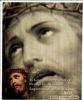 اسم الصورة=Jesus-Other_(43).JPG
حجم الملف=24كيلوبايت
الأبعاد=454x542
تاريخ الإضافة=%026 %11, %2008 Jesus-Other_(43).JPG
