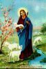 اسم الصورة=Jesus-Other_(54).JPG
حجم الملف=25كيلوبايت
الأبعاد=324x478
تاريخ الإضافة=%026 %11, %2008 Jesus-Other_(54).JPG