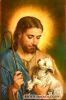 اسم الصورة=Jesus-Other_(7).JPG
حجم الملف=13كيلوبايت
الأبعاد=280x424
تاريخ الإضافة=%025 %11, %2008 Jesus-Other_(7).JPG