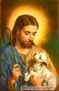 اسم الصورة=Jesus-Other_(99).jpg
حجم الملف=15كيلوبايت
الأبعاد=280x428
تاريخ الإضافة=%026 %11, %2008 Jesus-Other_(99).jpg