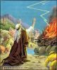 اسم الصورة=Elijah1_(29).jpg
حجم الملف=23كيلوبايت
الأبعاد=355x434
تاريخ الإضافة=%499 %12, %2008 Elijah1_(29).jpg