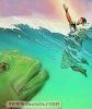 اسم الصورة=Jonah%20and%20Fish22.jpg
حجم الملف=28كيلوبايت
الأبعاد=265x315
تاريخ الإضافة=%758 %24, %2008 Jonah%20and%20Fish22.jpg
