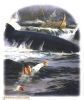 اسم الصورة=Jonah%20and%20Fish23.jpg
حجم الملف=128كيلوبايت
الأبعاد=504x600
تاريخ الإضافة=%758 %24, %2008 Jonah%20and%20Fish23.jpg