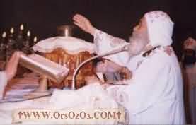 PopeShenoudaIII_(245).jpg