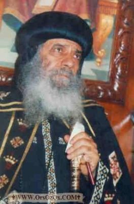 PopeShenoudaIII_(381).jpg