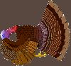 اسم الصورة=praying_turkey_sm.gif
حجم الملف=15كيلوبايت
الأبعاد=200x186
تاريخ الإضافة=%490 %30, %2008 praying_turkey_sm.gif